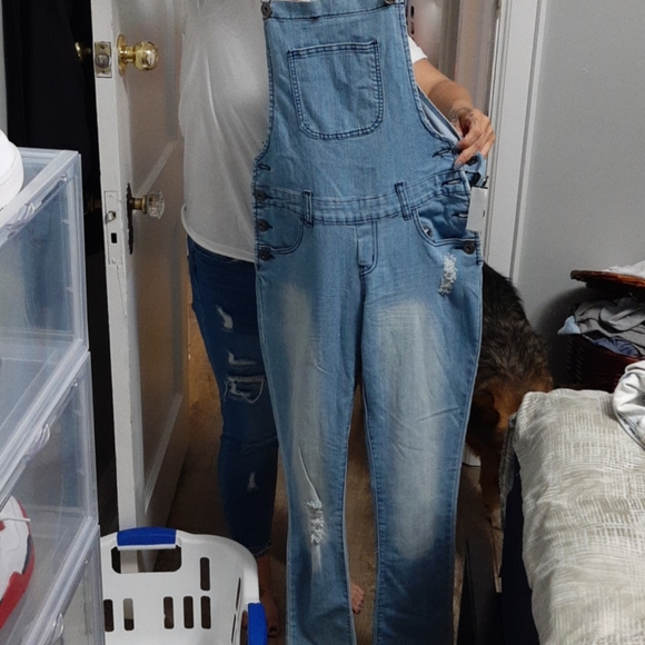Overalls - Picture 1 of 1